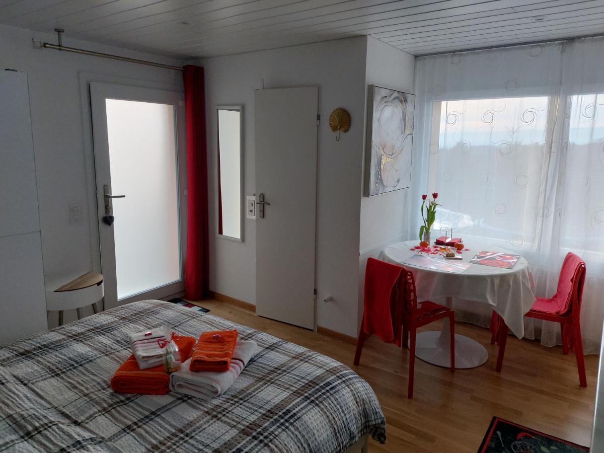 Beau Studio Avec Terrasse Et Vue Exclusivement Pour Non Fumeurs 贝尔蒙叙尔洛桑 外观 照片